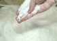 99.5% Min Pharmaceutical Food Grade Emulsifiers White Crystal Powder